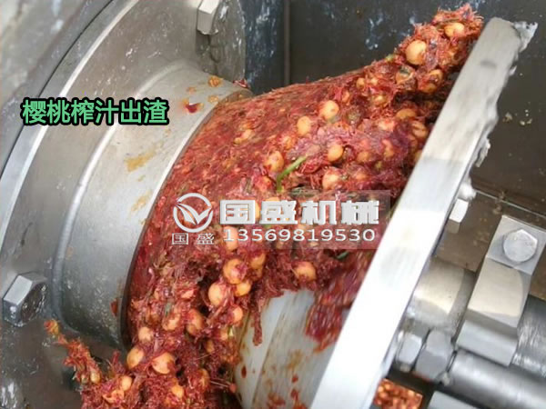 香蕉视频APP污樱桃螺旋压榨脱水机 香蕉视频APP污樱桃螺旋压榨脱水机